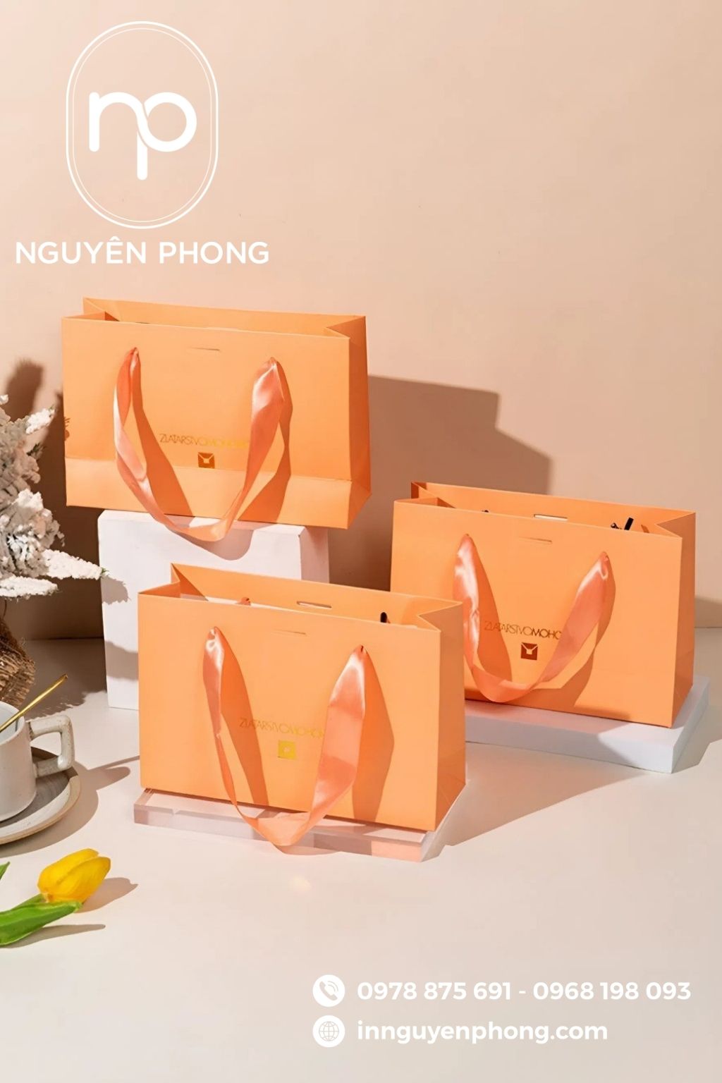 Mẫu túi giấy đựng ô mai quai ruy băng 